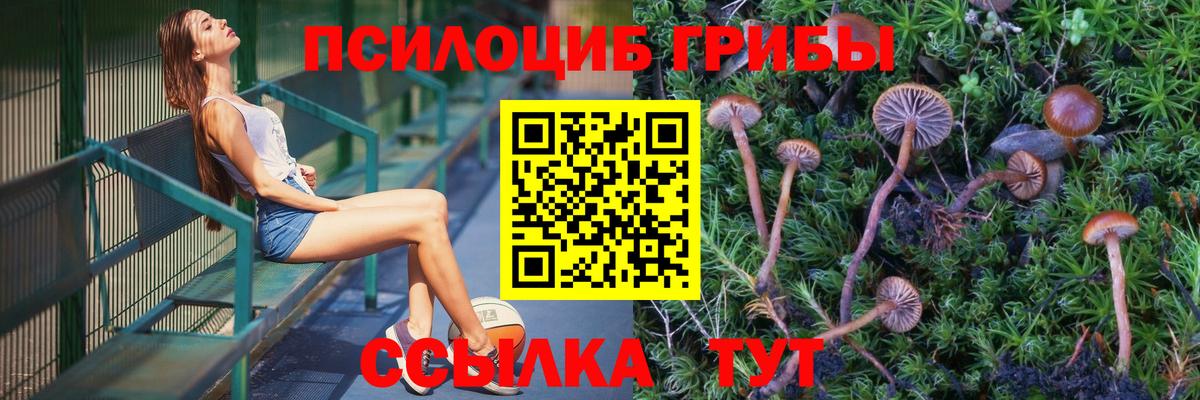 Псилоцибиновые грибы Psilocybine cubensis Элиста