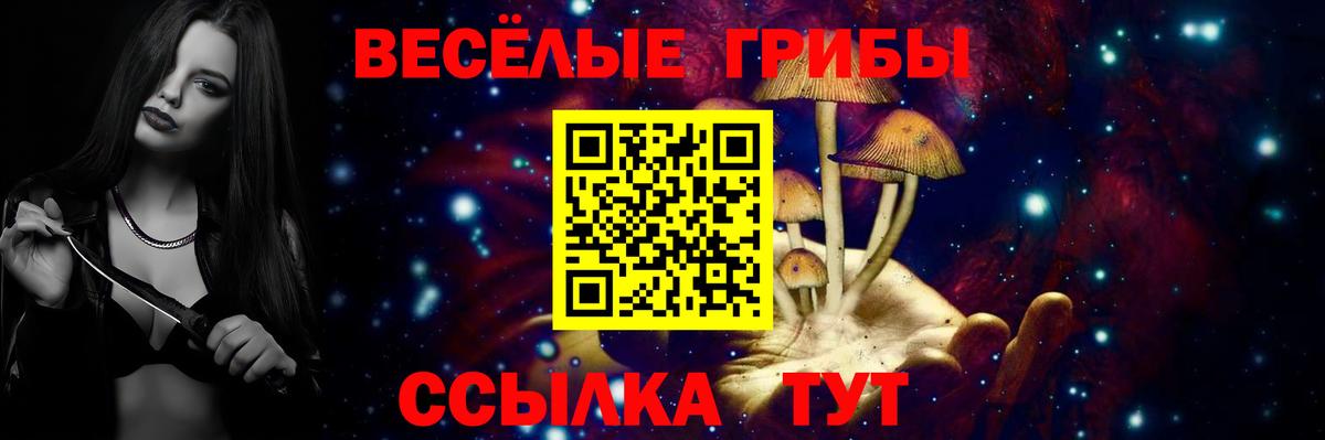 Элиста  Галлюциногенные грибы мицелий  купить наркотики цена  Вход с VPN 